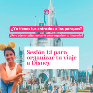 sesion-1-1-viaje-organizado-disney-jpg